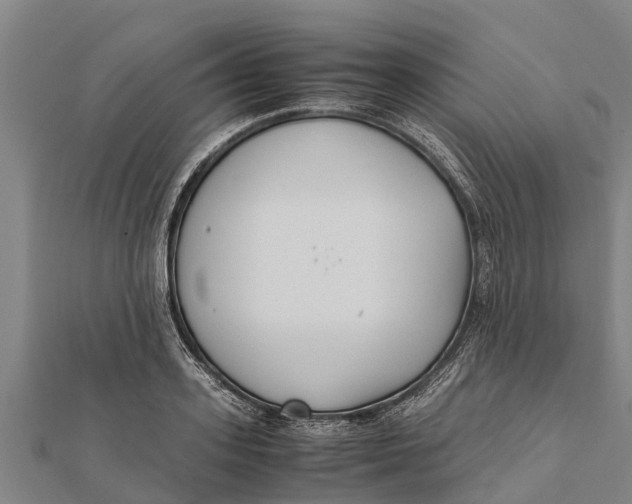 X0000111530939200908041302