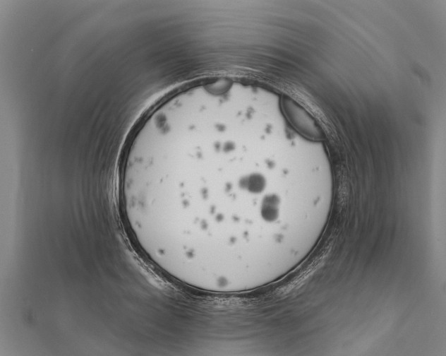 X0000111530940200908041302