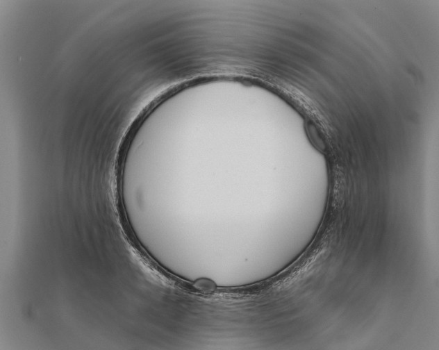 X0000111530942200908041302