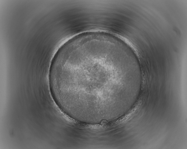 X0000111530943200908041302