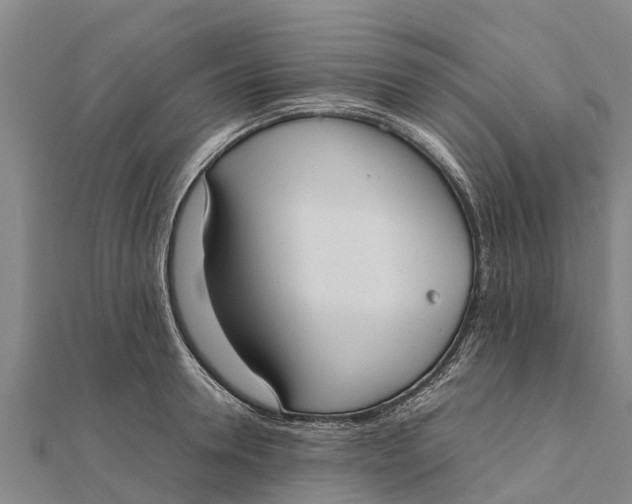 X0000111530946200908041302