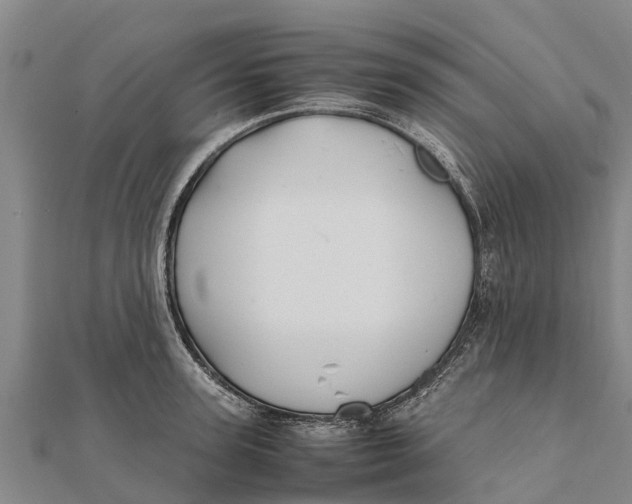 X0000111530947200908041302