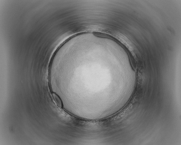 X0000111530948200908041302