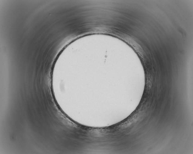 X0000111530950200908041302