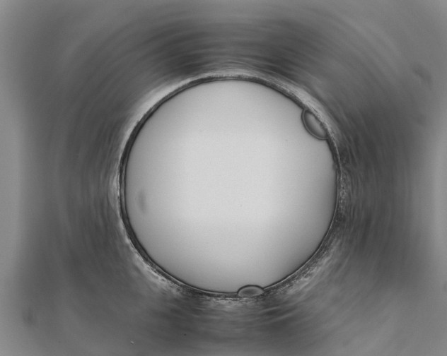 X0000111530951200908041302