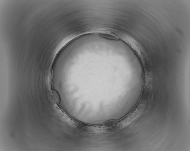 X0000111530952200908041302