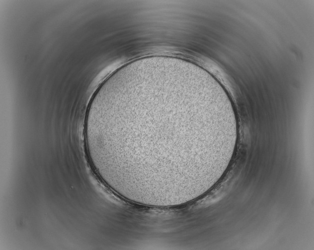 X0000111530954200908041302