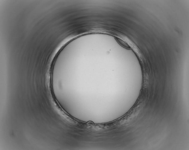 X0000111530955200908041302