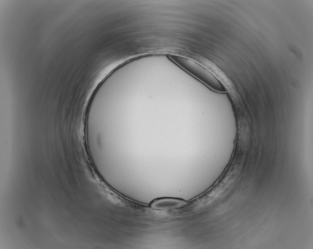 X0000111530956200908041302