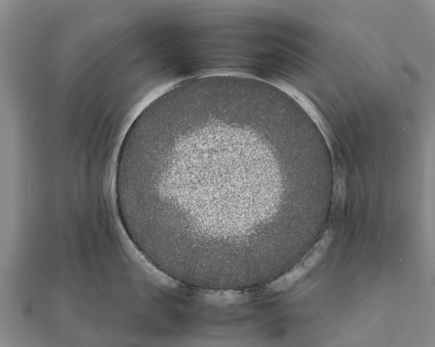 X0000111530957200908041302