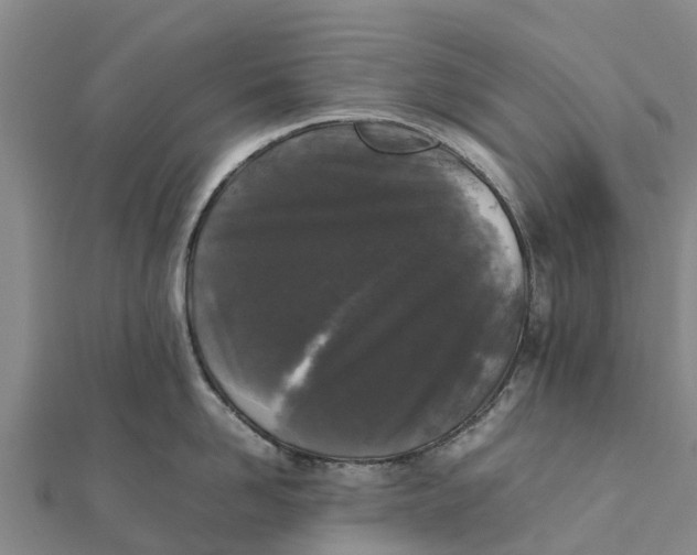 X0000111530958200908041302