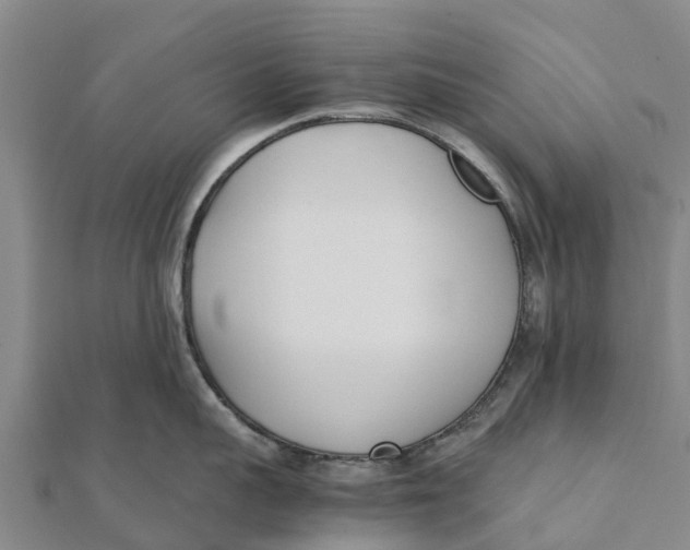 X0000111530959200908041302