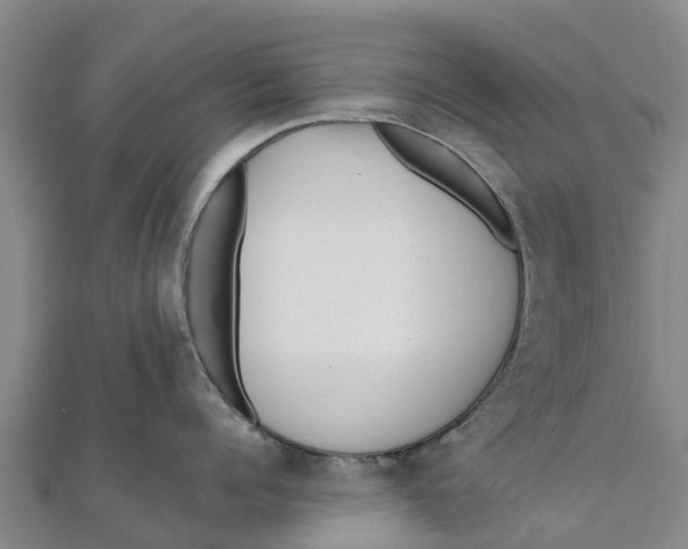 X0000111530960200908041302