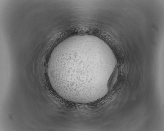 X0000111530961200908041301