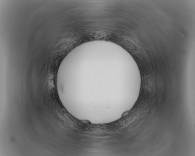 X0000111530962200908041301