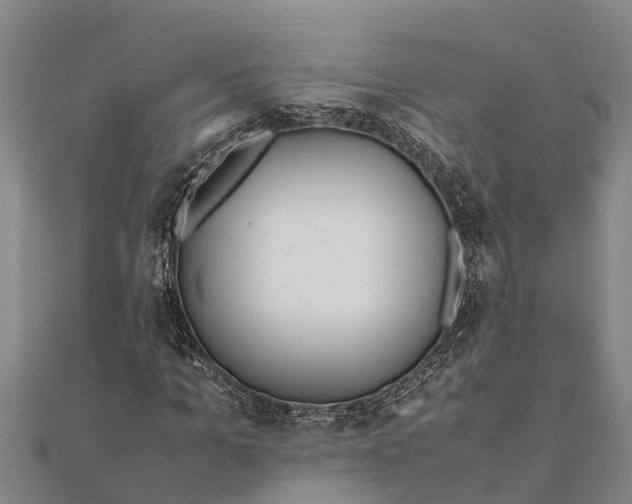 X0000111530965200908041301