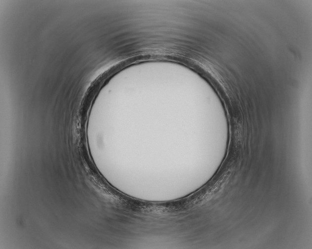 X0000111530971200908041301