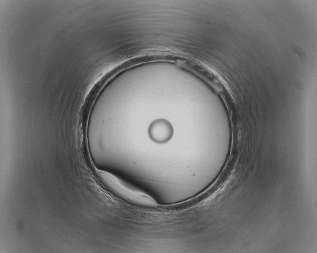 X0000111530973200908041301