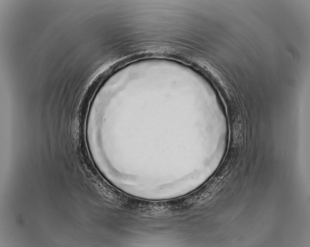 X0000111530975200908041301