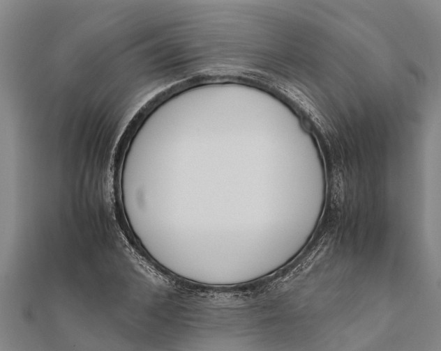 X0000111530976200908041301