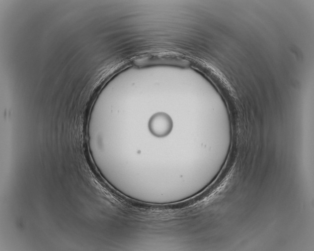 X0000111530977200908041301