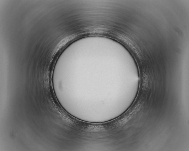 X0000111530978200908041301