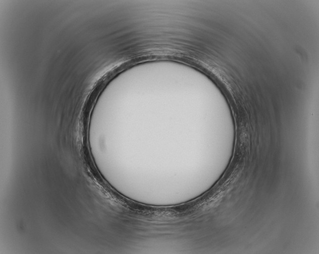 X0000111530979200908041301