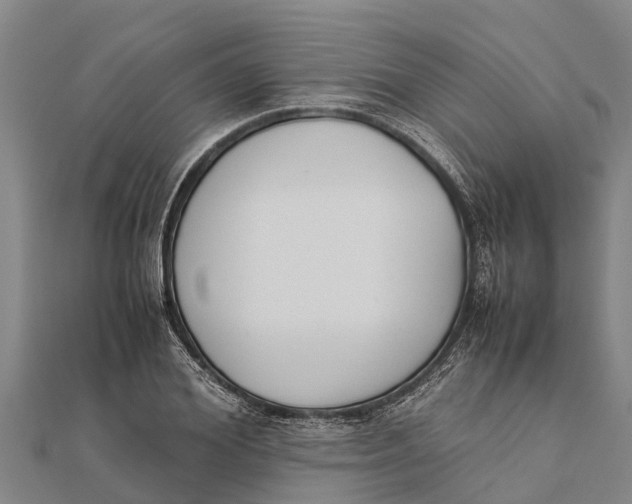 X0000111530980200908041301