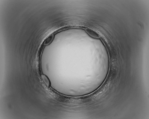 X0000111530981200908041301