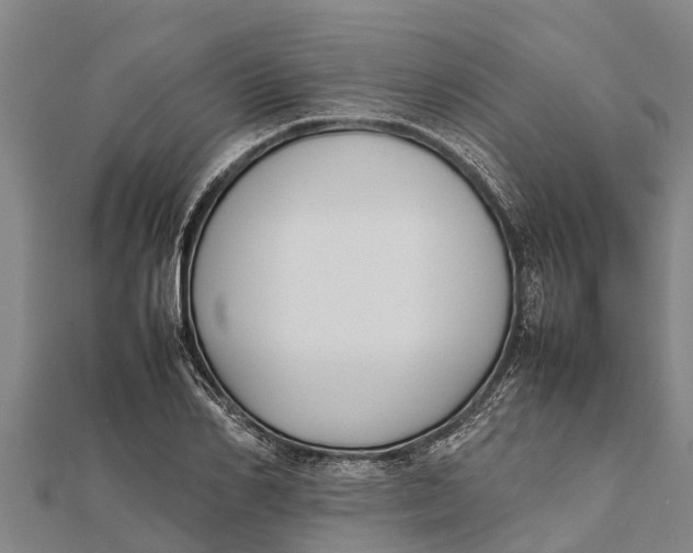 X0000111530982200908041301