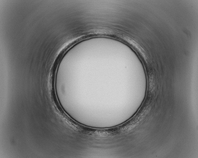 X0000111530983200908041301