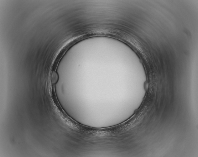 X0000111530984200908041301