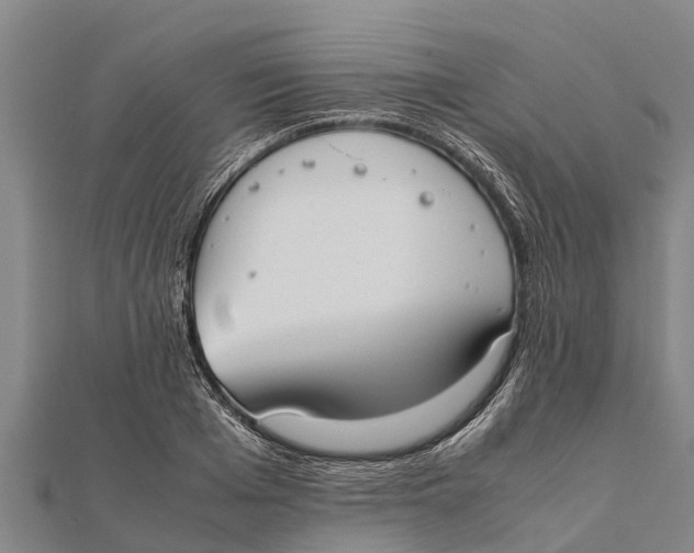 X0000111530985200908041301