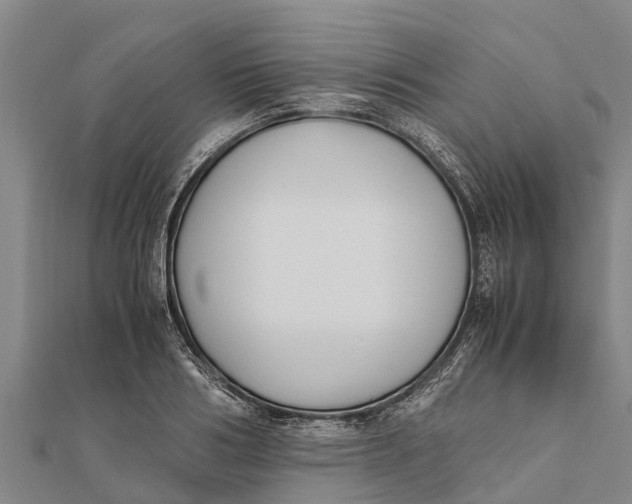 X0000111530986200908041301