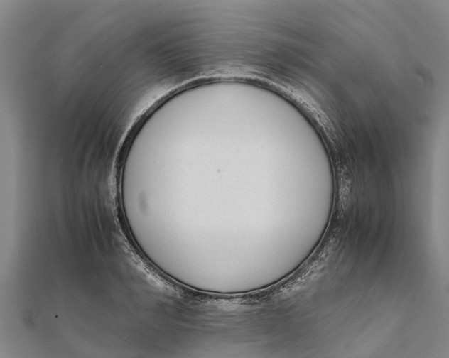 X0000111530990200908041301