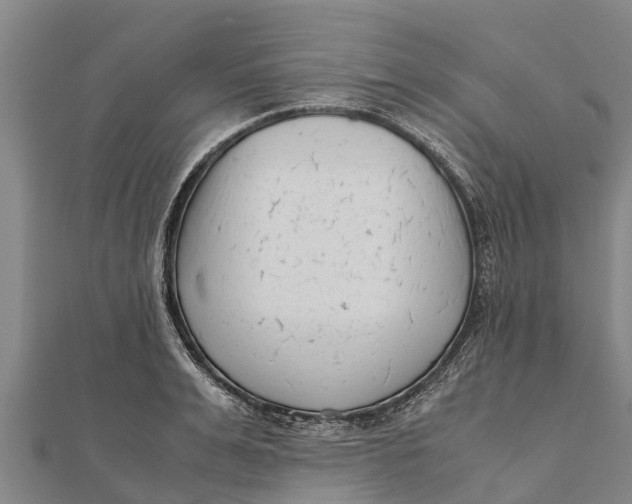 X0000111530991200908041301