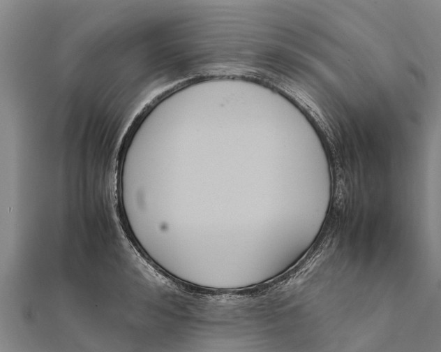 X0000111530992200908041301