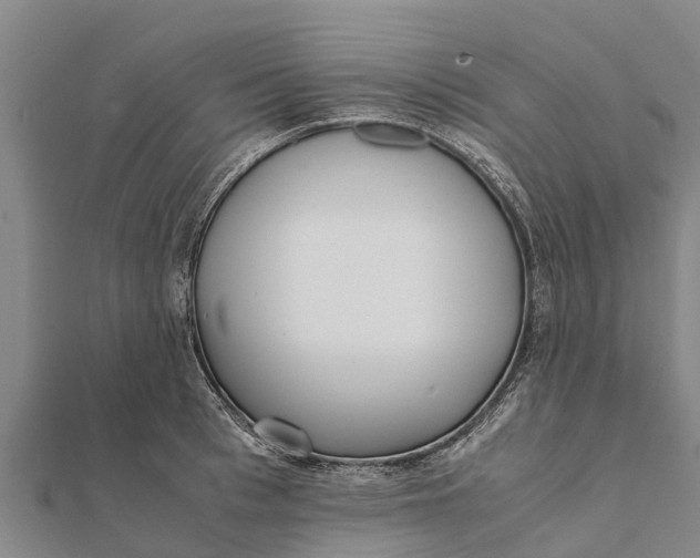 X0000111530993200908041301