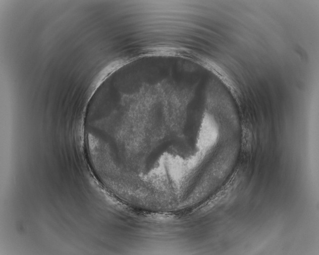 X0000111530994200908041301