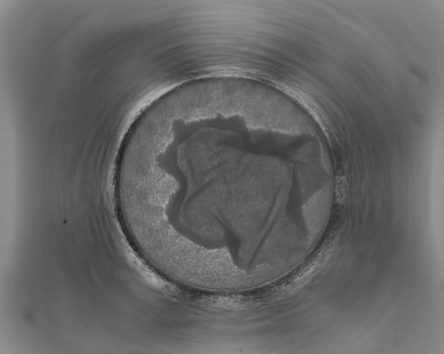 X0000111530995200908041301