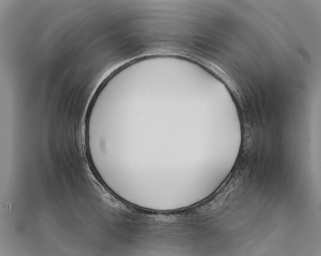 X0000111530996200908041301