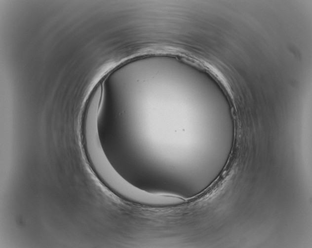 X0000111530997200908041301