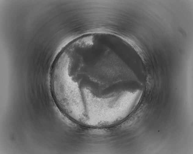 X0000111530998200908041301