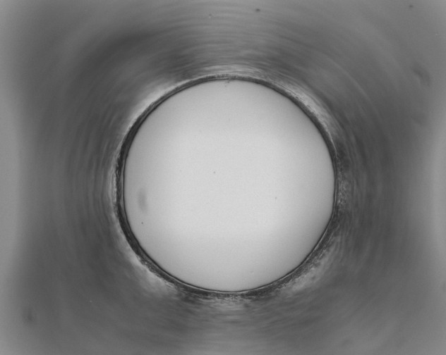 X0000111530999200908041301