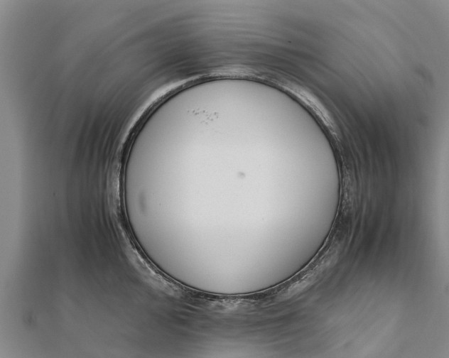 X0000111531000200908041301