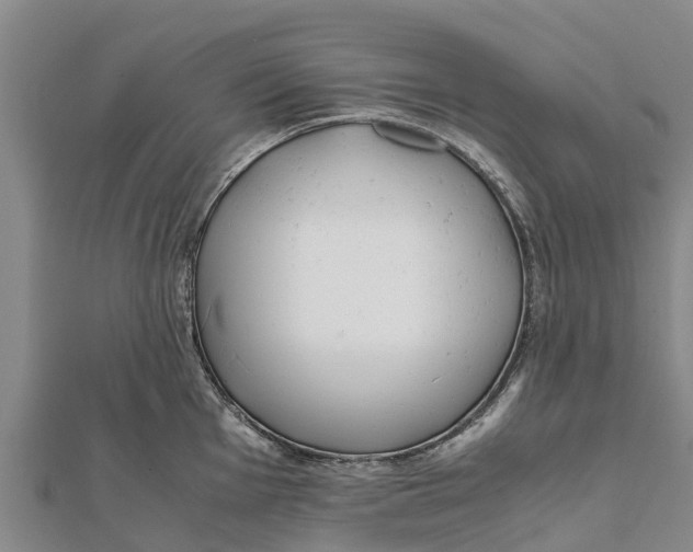 X0000111531001200908041301