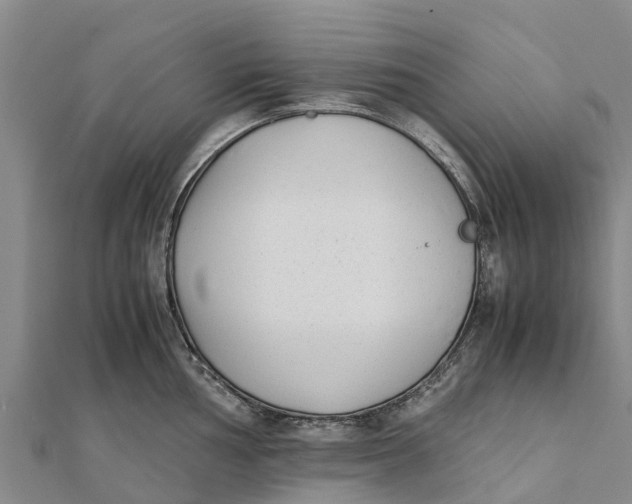 X0000111531002200908041301