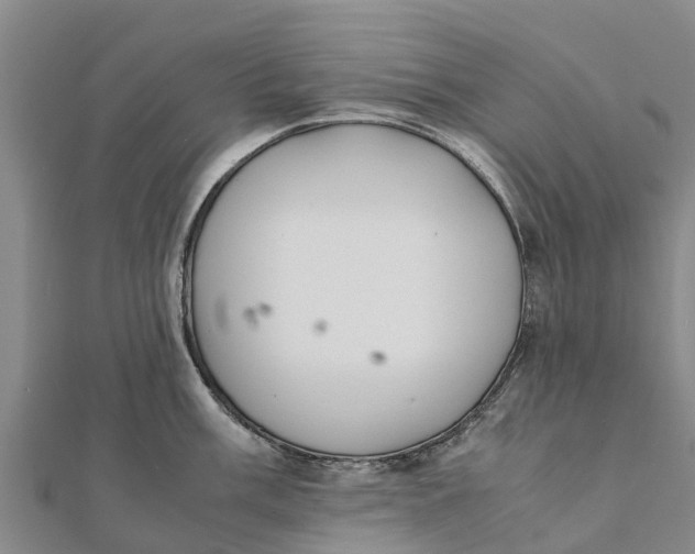 X0000111531003200908041301