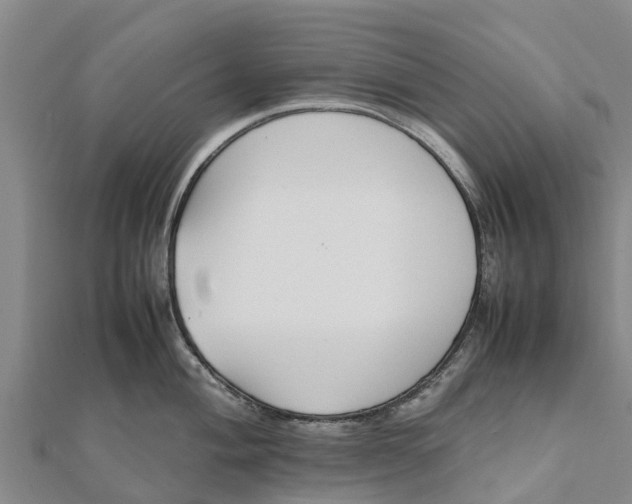 X0000111531004200908041301