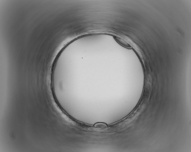 X0000111531005200908041301